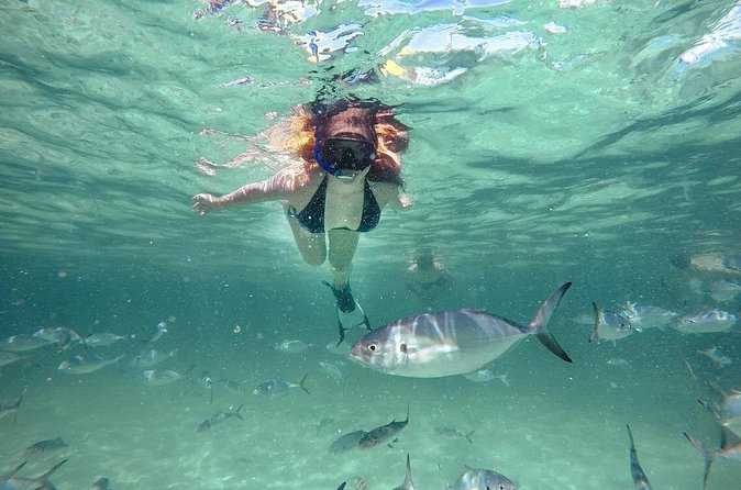 Reef Explorer Half Day Trip - Pickup, Mobile Ticket, and Getting There Without Stress