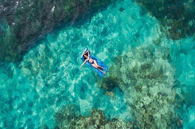 Reef Explorer Half Day Trip - Value and Price: Is $149 Worth It?