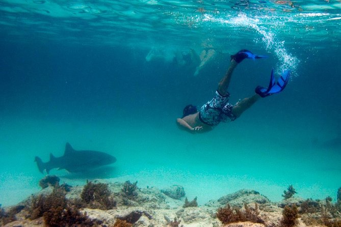 Reef Explorer Half Day Trip - Bávaro Beach Stop: Warm Water, Reef Viewing, and a Short Reset Zone