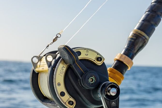 Reel Adventures: A Fin-tastic Fishing Tour - What’s Actually Included: Gear, Bait, Beers
