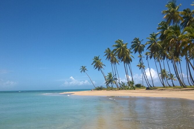 Round Mountain + Beach + Horse + Lunch - The main drawback to expect (and how to handle it)