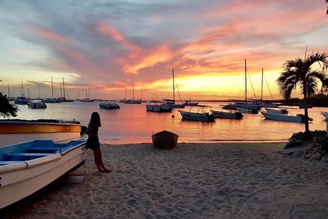 Round Trip Punta Cana Airport Shuttle - Your Punta Cana Airport Arrival, Without the Stress
