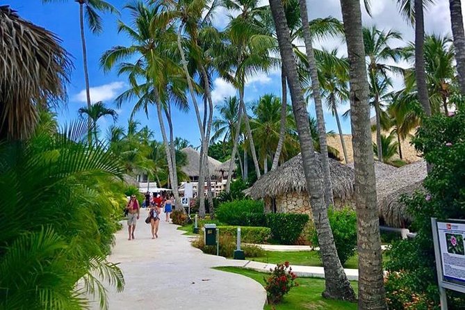 Round Trip Punta Cana Airport Shuttle - Who This Shuttle Fits Best (And Who Might Want Alternatives)
