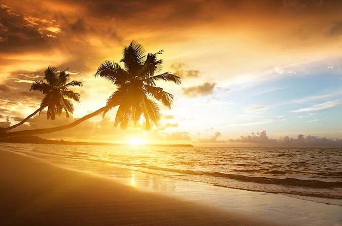 Royalton Bavaro- Round Trip Shuttle - Punta Cana Airport - Round-Trip Planning: Arrival and Return Without Extra Bookkeeping