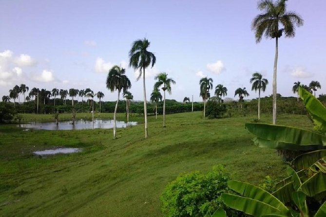 Safari Adventure - Full Day - From Punta Cana - Typical Dominican House Stop: Guitar, Building Knowledge, and Family Warmth
