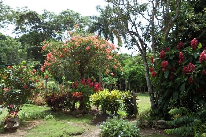Safari Adventure - Full Day - From Punta Cana - School Visit in Higuey Area: A Quiet Moment That Adds Meaning