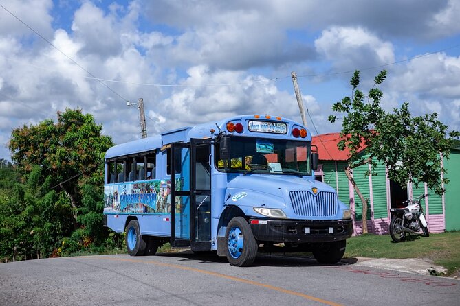 Safari and Higuey Church from Punta Cana - Plantation Stops: Sugarcane, Coffee, Cacao, and Tobacco in One Day