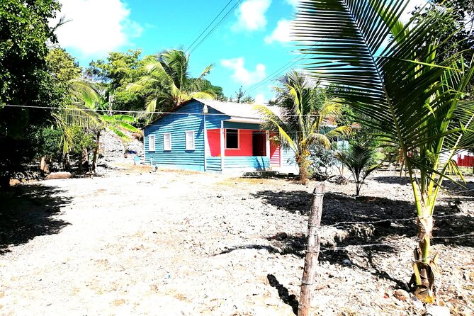 Safari discovery to Boca De Yuma – Nature, Discovery And History Of A Population - Key Things To Know Before You Go