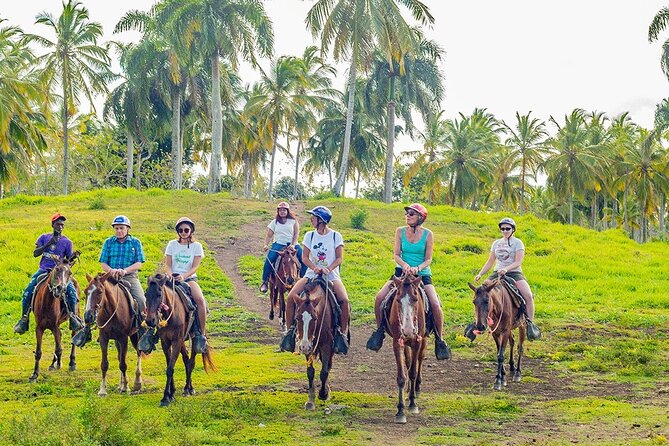 Safari Full Day Outdoor Adventure from Punta Cana - Stop 3: Higüey Town Culture, Handmade Cigars, and a Typical House Visit