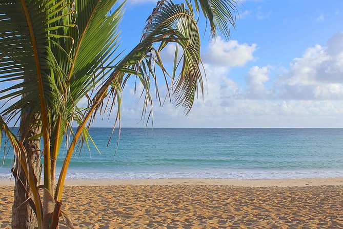 Safari Full Day VIP Experience - VIP Transport and the Comfort Factor from Punta Cana