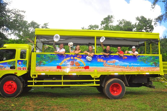 Safari Half Day Experience - Comfort, Pickup, and the Pace Reality Check