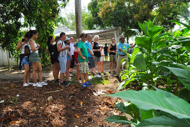 Safari Supreme Full Day Outdoor Adventure Punta Cana - Typical Dominican Lunch and the Drinks Onboard