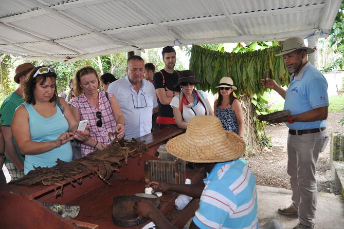 Safari Supreme Full Day Outdoor Adventure Punta Cana - Higuey and the Basilica Stop: A Cultural Anchor That Breaks Up the Day