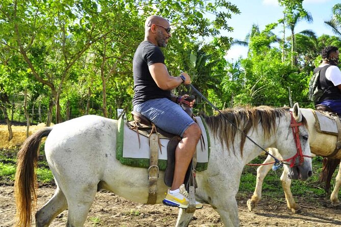 Safari Tour in Punta Cana todo el dia una Aventura inolvidable - Higuey Public Market: Snacks, Small Purchases, and Everyday Life