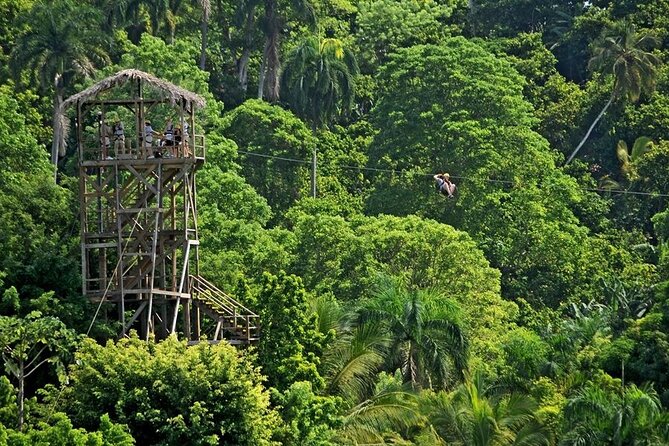 Safari Tour in Punta Cana todo el dia una Aventura inolvidable - Price and Value: Is $110 Worth It?