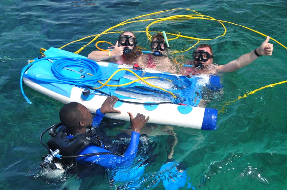 Sailing Splash Tour Speedboat, Snorkel, and Catamaran - Snuba and the Shark/Ray Promise: How to Think About It