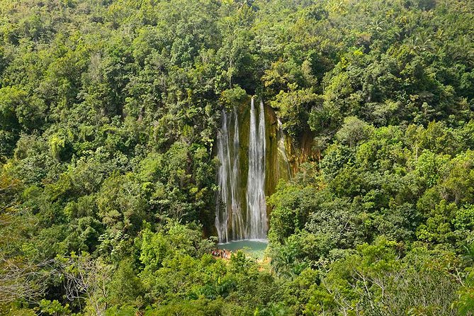 Samana: Bacardi Island and El Limon Waterfall - From Punta Cana to Samana at 6:30 am: the pace check