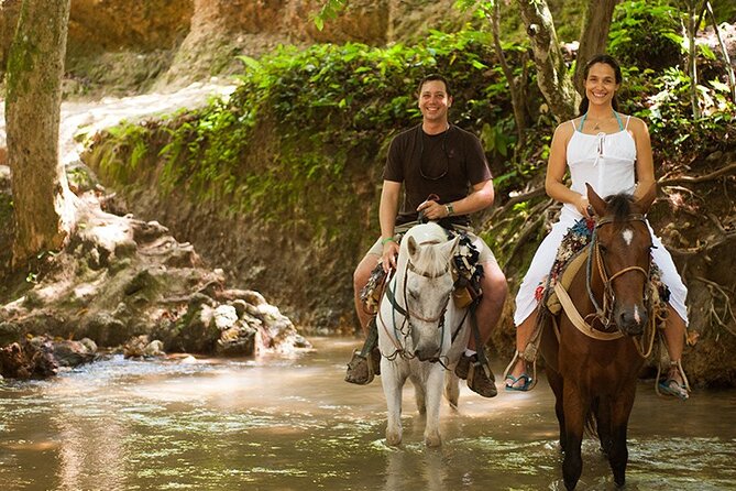 Samana: Bacardi Island and El Limon Waterfall - El Salto del Limon: horseback through the forest to a real waterfall stop