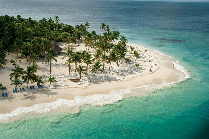 Samaná Experience Whale – The Lemon Waterfall & Bacardi Island - Whales on the water: what you can realistically expect