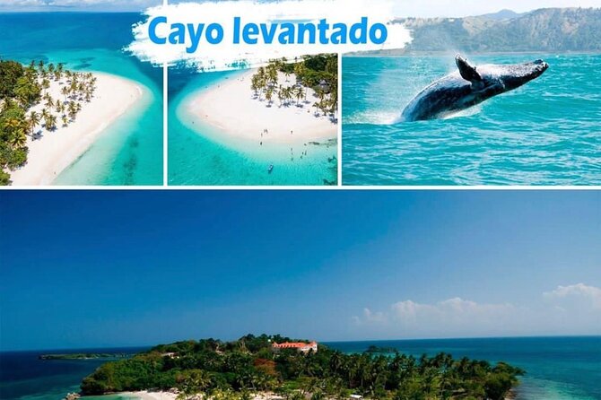Samana Full Day -baracardi island, horses, lemon waterfall - Key Highlights You’ll Feel From the First Hour
