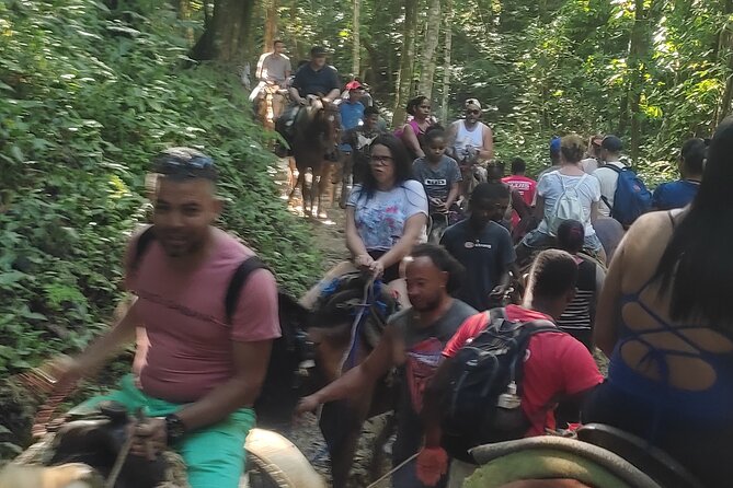 Samana Full Day Waterfall, Safari and Beach - Horseback ride to Cascada El Limón: worth it, but plan for effort