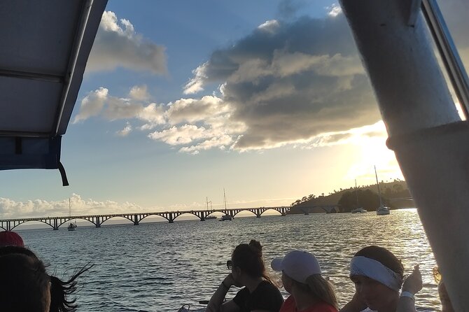 Samana Full Day Waterfall, Safari and Beach - Whale watching from the dock: amazing when conditions cooperate