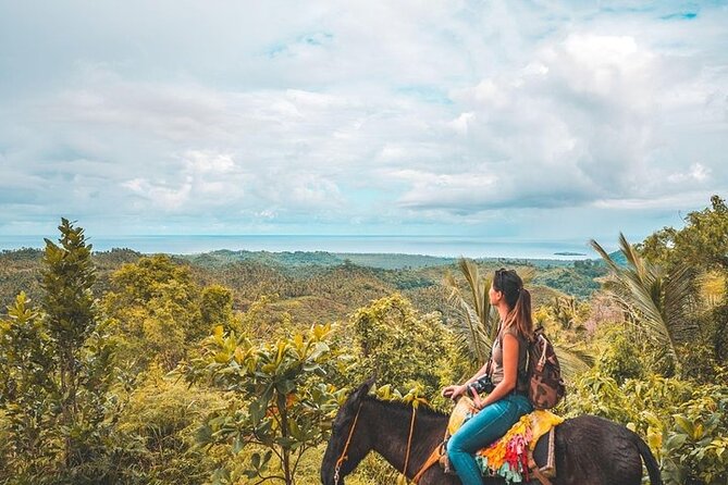 Samaná Whale Watching, waterfall & Cayo Levantado Adventure - Price and value: what you’re really paying for