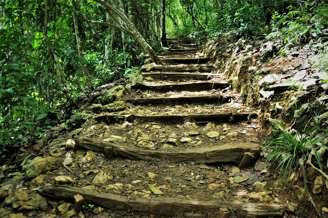 Samaná Whale Watching, waterfall & Cayo Levantado Adventure - Logistics that can make or break your day