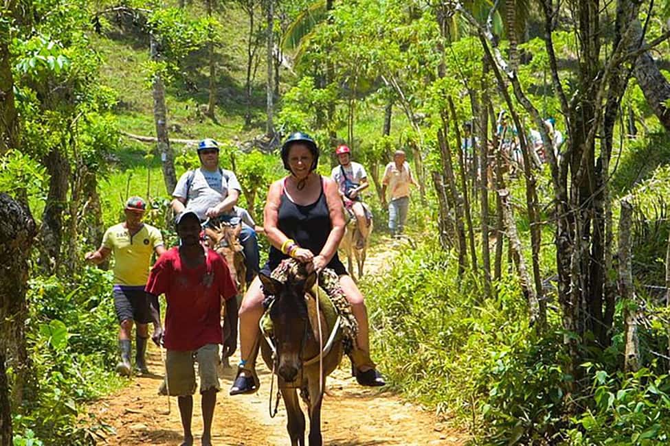 Samaná Whales Full Day, Cayo Levantado, Limón Waterfall - From Punta Cana to Samaná: the long ride that sets up the day