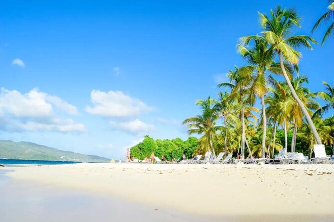 Samana+Baracardi Island Tour And Lemon Jump From PUJ - Boat time and the real reason to look for humpbacks