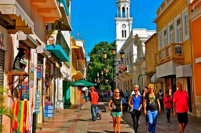 Santo Domingo City & Culture Tour from Punta Cana – Colonial Zone - Private minivans and personal attention: how the guide shapes the day