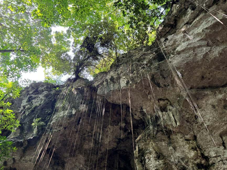 Santo Domingo City Tour From Punta Cana - Merengue and Dominican flavor: what the cultural pitch is aiming for