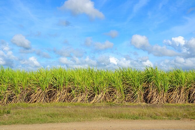 Santo Domingo City Tour From Punta Cana With Pick Up - Lunch Included: Fuel for a 10-Hour Day
