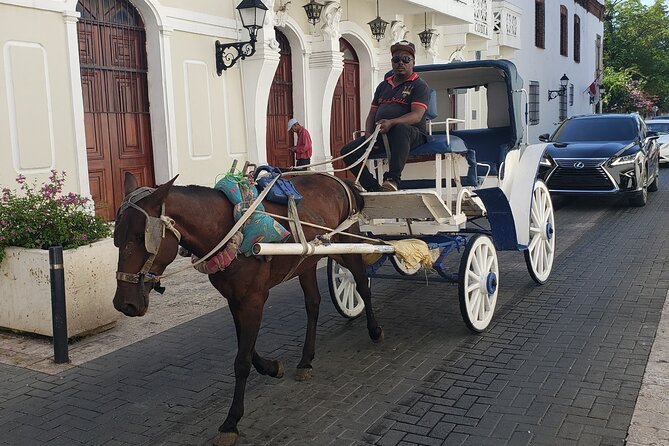 Santo Domingo City Tours Full Day From Punta Cana - Price and value: what $92.63 is buying you