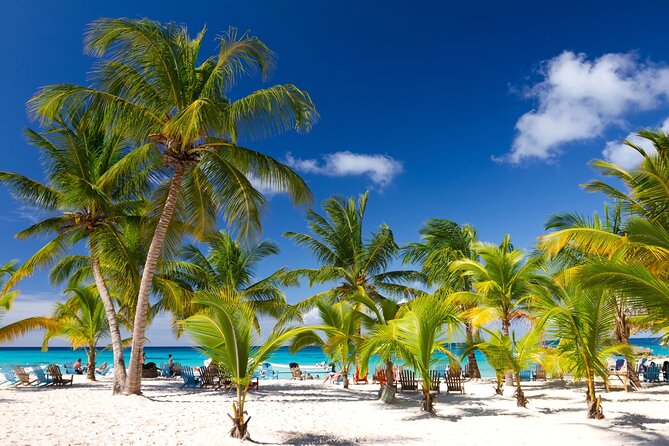Saona Catamaran Cruise with Lunch and Natural Swimming Pool - Key Things I’d Book This For