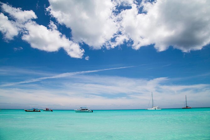 Saona Catamaran Cruise with Lunch and Natural Swimming Pool - Who This Excursion Fits Best