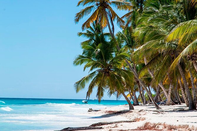 Saona Catamaran Cruise with Lunch and Natural Swimming Pool - Bayahibe Port and the Boat Atmosphere (Music, Drinks, and Crowd Control)