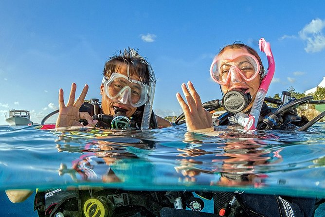 Saona Diving - What $260 covers (and why the value makes sense)
