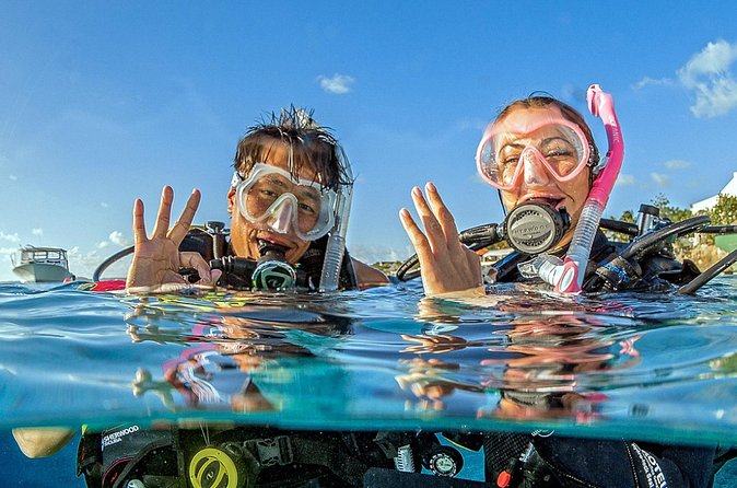 Saona Diving - Your day at sea: how the two underwater stops work