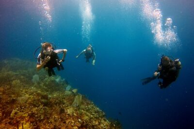 Saona Diving - 6:30am starts: the logistics that shape your experience