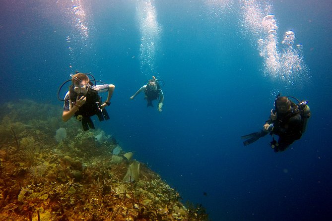 Saona Diving - 6:30am starts: the logistics that shape your experience
