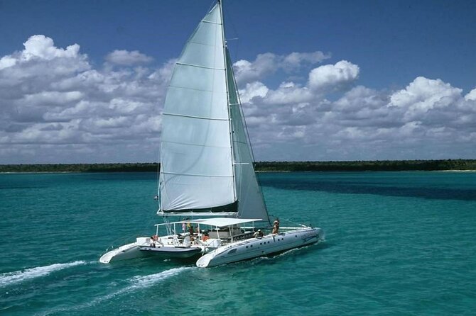 Saona Island Adventure From Punta Cana With Lunch and Transportation - Isla Saona Time: Beach Hours, Dominican Lunch, and the Best Use of Your Day
