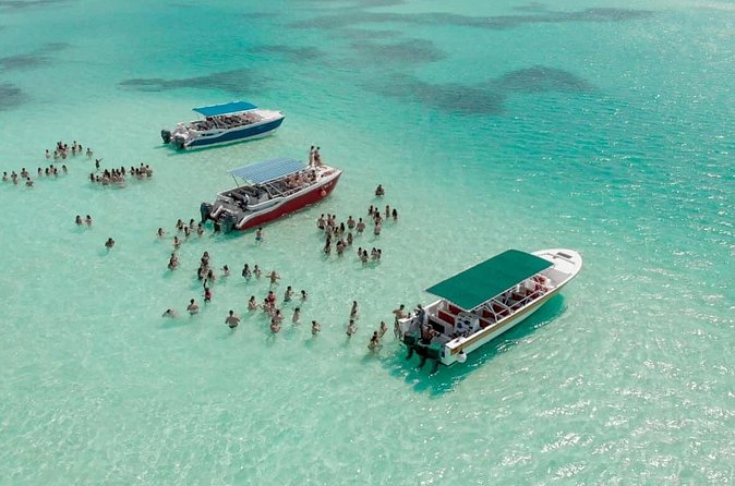 Saona Island Adventure From Punta Cana With Lunch and Transportation - Should You Book This Saona Island Adventure?