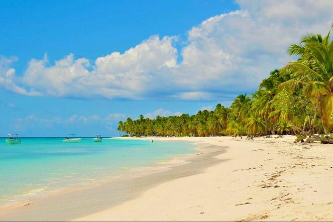Saona Island Adventure: Natural Pool & All-Inclusive Drinks - Catamaran crossing: the part that sets the tone