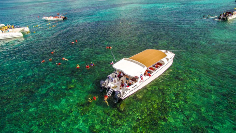 Saona Island All Inclusive Tour - Key Highlights You Should Know First