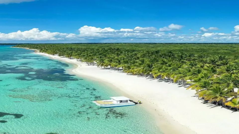 Saona Island All Inclusive Tour - Saona Island All Inclusive: What This Day Trip Gets Right