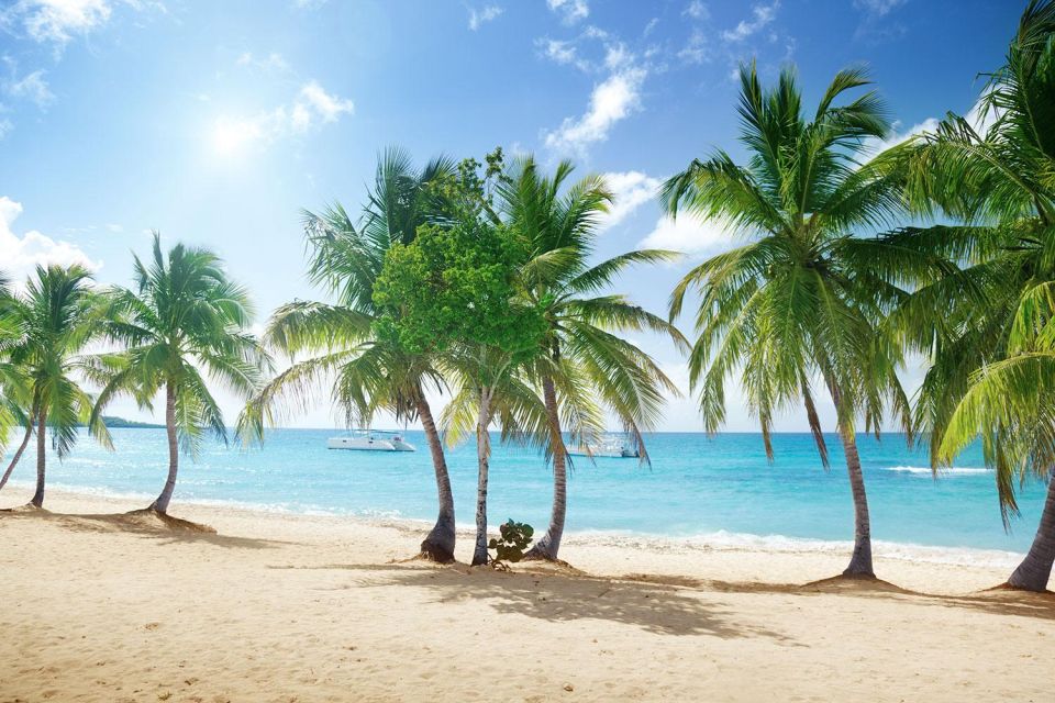 Saona Island All Inclusive Tour - Open Bar, Buffet Lunch, and the Party Boat Energy