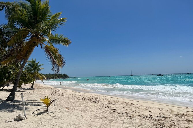 Saona Island and Chavon River Tour with Lunch and Drinks - Price and Value Check: Is $105 Worth the Day?