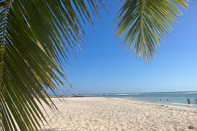 Saona Island and Chavon River Tour with Lunch and Drinks - Should You Book This Saona Island and Chavón River Tour?