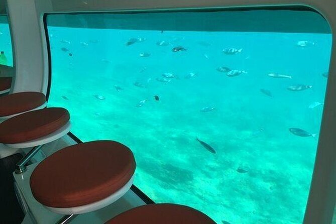 Saona Island at Yellow Submarine Exclusive Tour from Punta Cana - Where the tour can disappoint: timing, weather, and expectations